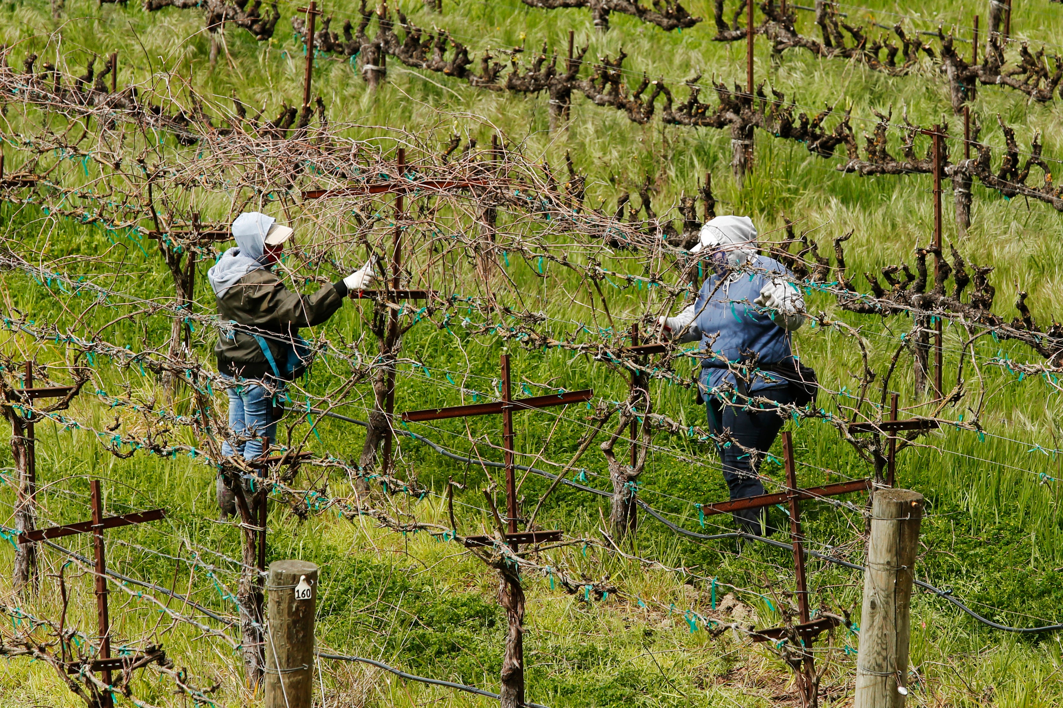 California Farmers Water