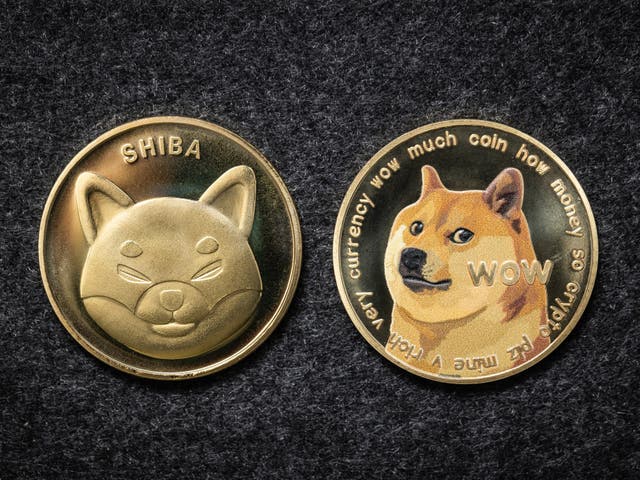 <p>Dogecoin surged in popularity and price in 2021 after high-profile endorsements from the likes of Elon Musk</p>