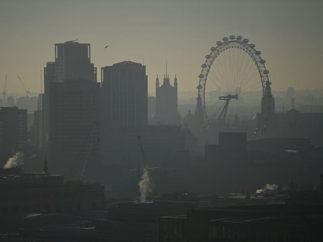 <p>Hundreds were hospitalised due to air pollution between 2017 and 2019 in the capital, new research finds</p>