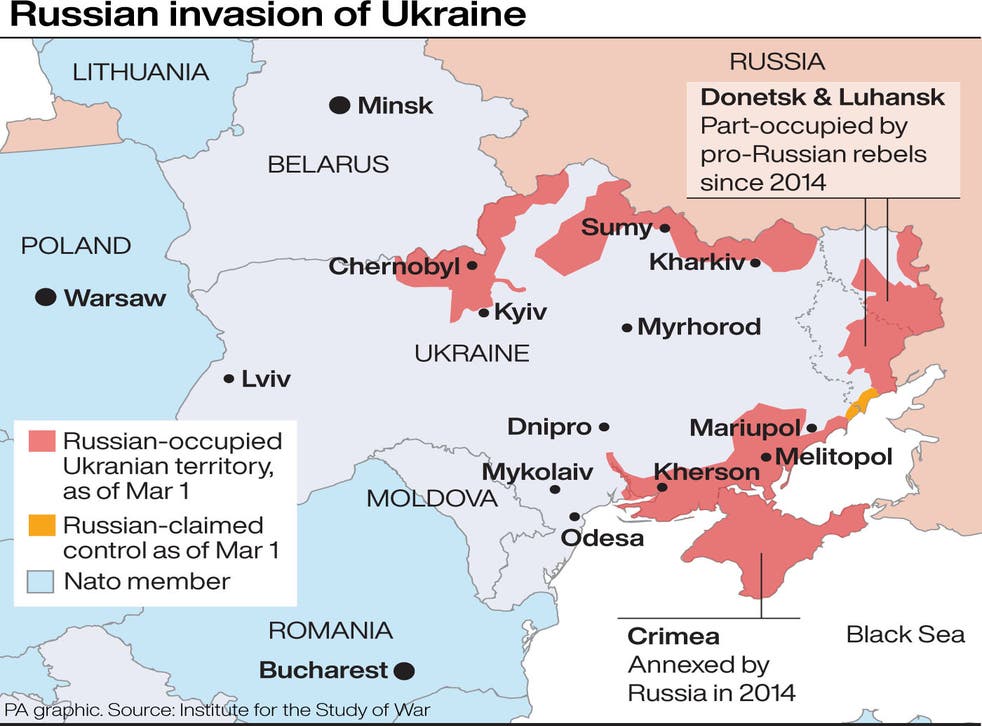 Vladimir Putin Is Insane But Not Dr Evil Says Ukraine Born Tory Donor The Independent Vladimir Putin Is Insane But Not Dr Evil Says Ukraine Born Tory Donor The Independent