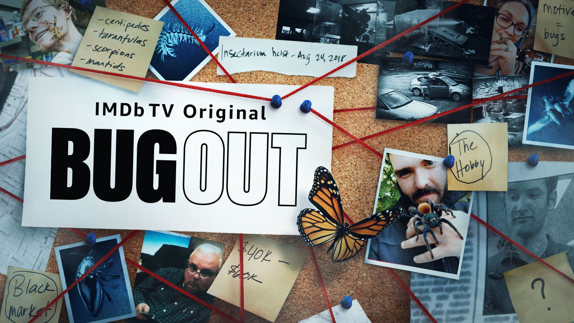 IMDb TV is showing the four-party documentary series