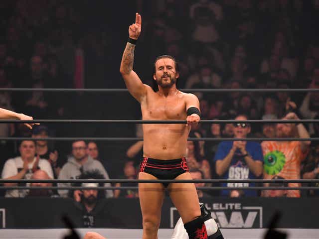 <p>Adam Cole signed for AEW after a hugely successful spell in WWE</p>
