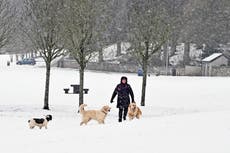 UK weather: Snow and gales to batter Britain as temperatures set to plunge to zero