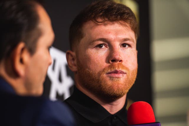 <p>Canelo Alvarez has hinted he could one day fight the UFC star</p>