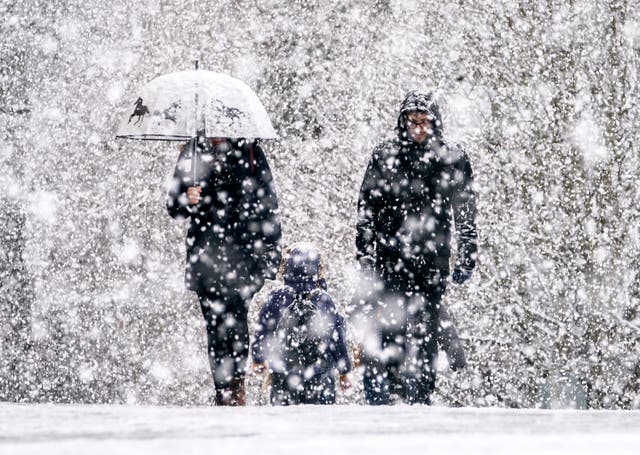 <p>Gusty winds and rain will return from Friday in the north</p>