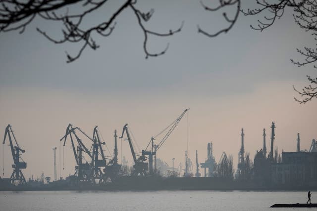 <p>File: Harbor cranes are seen at the trade port in Mariupol, Ukraine on 23 February 2022</p>