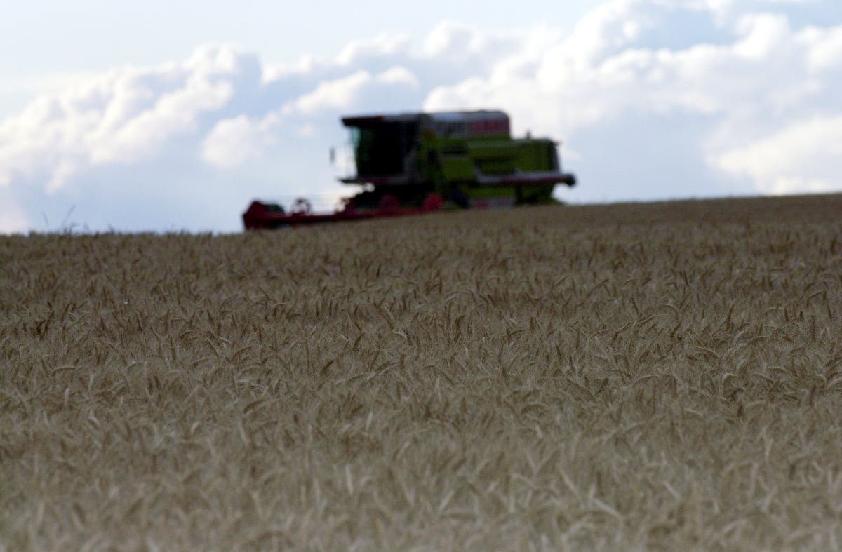 Irish farmers will &lsquo;step up&rsquo; to challenge of growing more grain, says minister