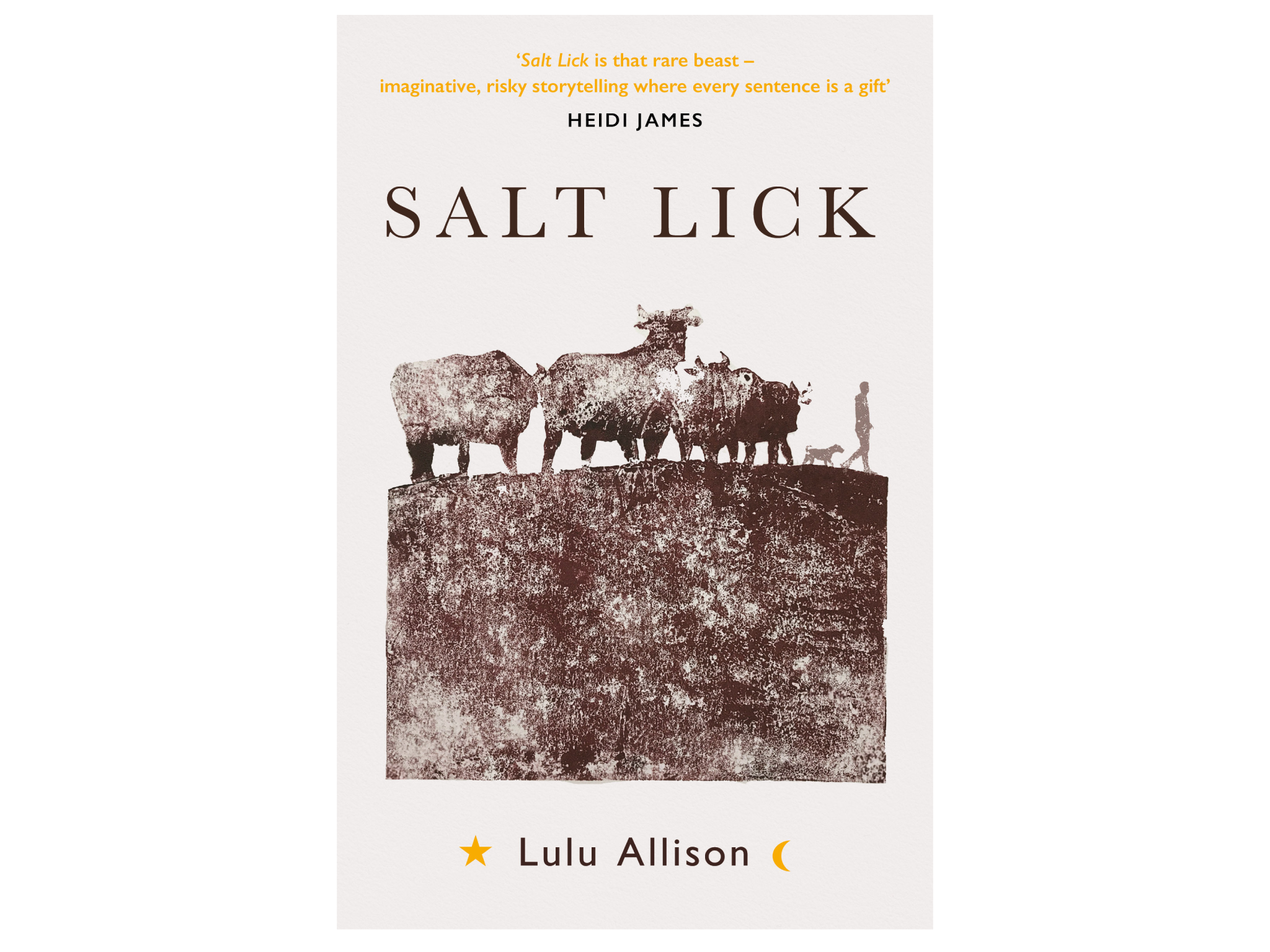 Salt-Lick-womens-prize-for-fiction-longlist-indybest