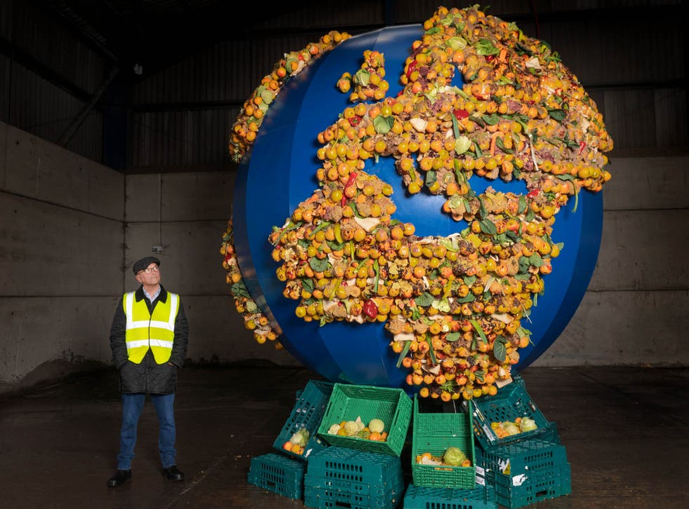 <p>Gregg Wallace poses next to an installation made from the food waste from a single UK household over a year</p>