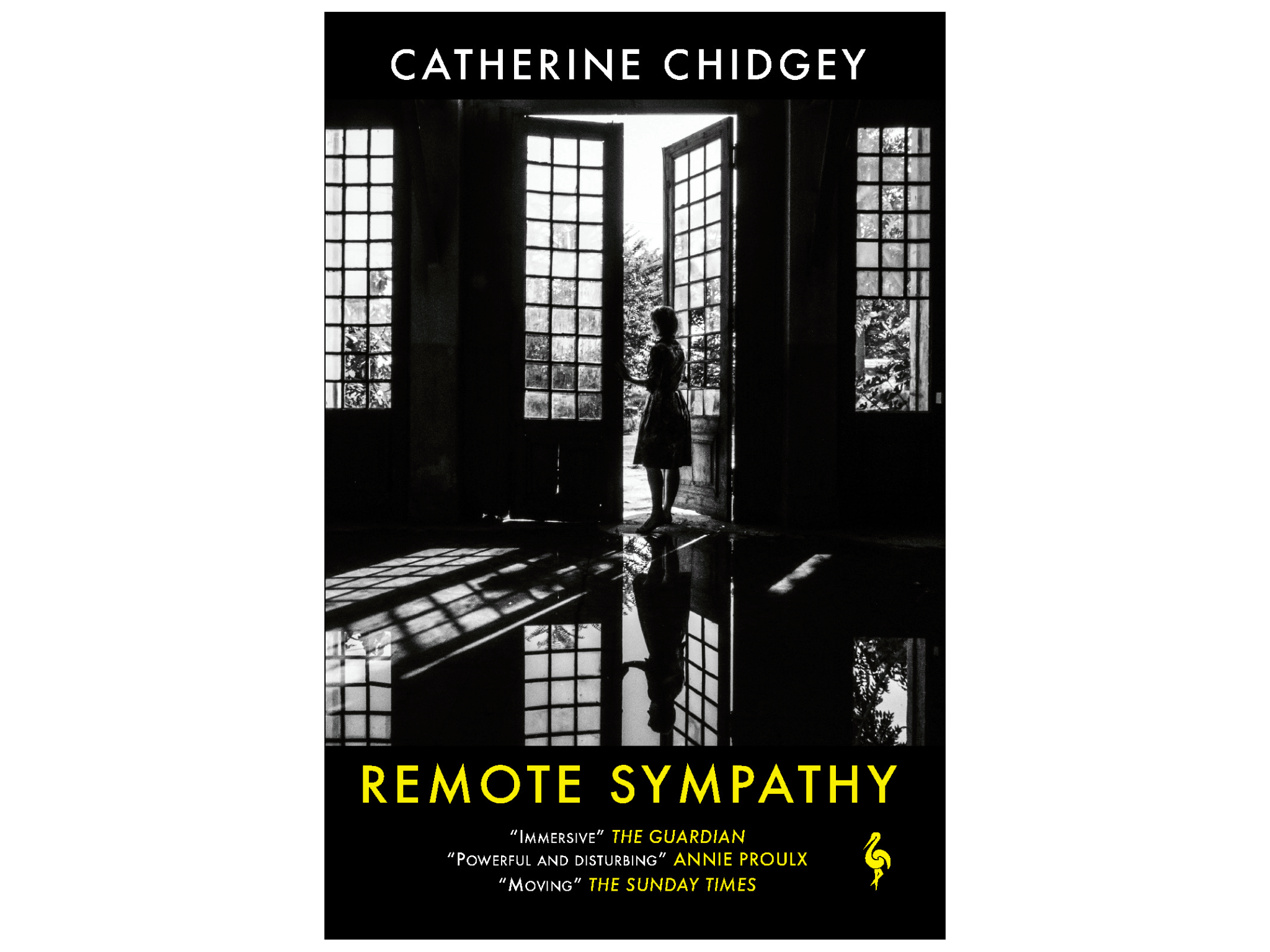 Remote-Sympathy-womens-prize-for-fiction-longlist-indybest