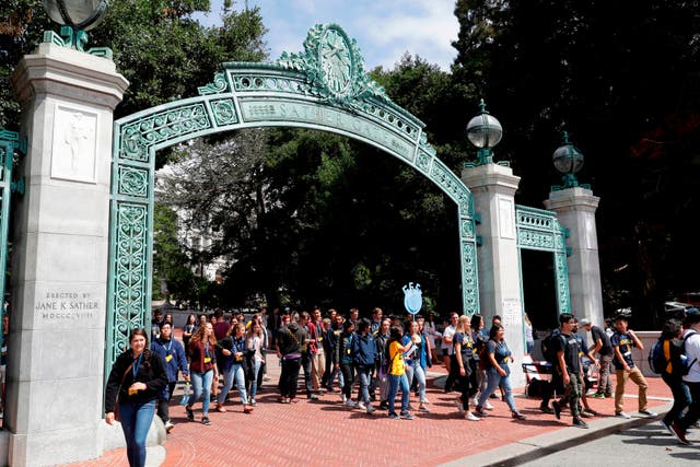 University of California Berkeley Enrollment