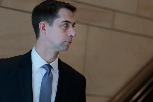 <p>Sen Tom Cotton said of President Joe Biden: “If we could get three years of Joe Biden speaking in deliberate fashion on words that have been carefully reviewed and vetted … that would be safer than what happened over the last five days” </p>