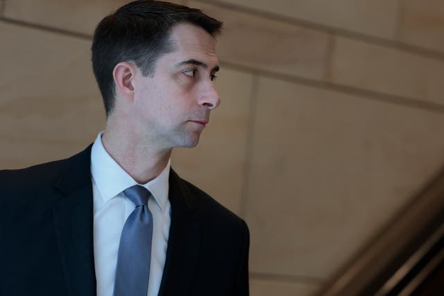 <p>Sen Tom Cotton said of President Joe Biden: “If we could get three years of Joe Biden speaking in deliberate fashion on words that have been carefully reviewed and vetted … that would be safer than what happened over the last five days” </p>