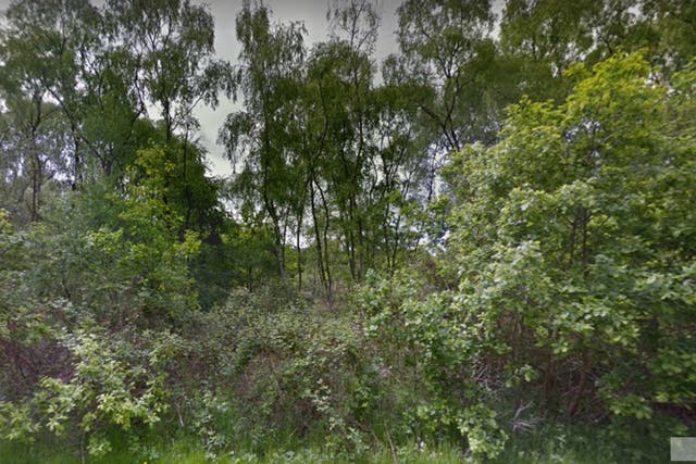 <p>Officers were called to the scene at Ostler’s Plantation (pictured) by East Midlands Ambulance Service</p>