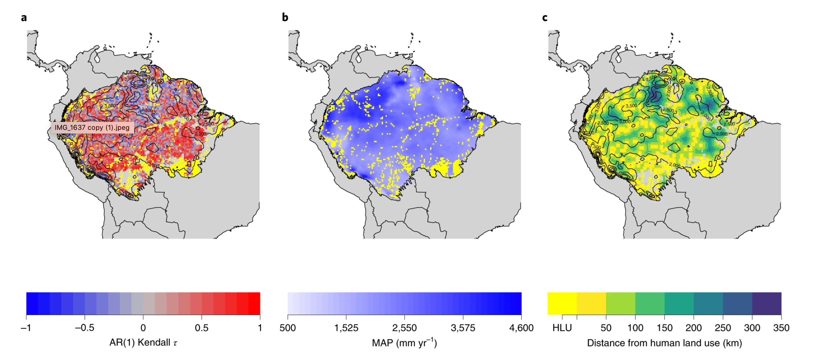 Pronounced loss of Amazon rainforest resilience since the early 2000s