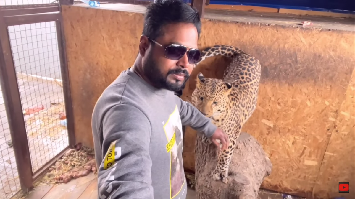 Indian doctor stranded in Ukraine with a jaguar and panther: &lsquo;I can&rsquo;t leave them&rsquo;