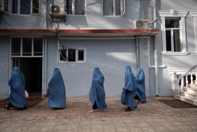 <p>This picture taken on 17 January, 2022 shows female municipality employees, who have been able to continue working following the Taliban takeover</p>