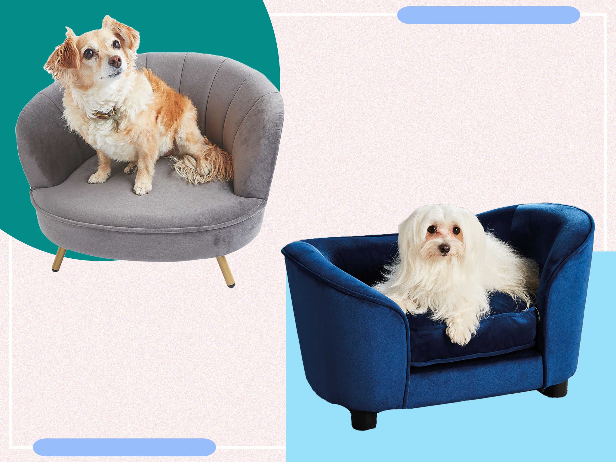 A regal design for your pooch is exactly what you need