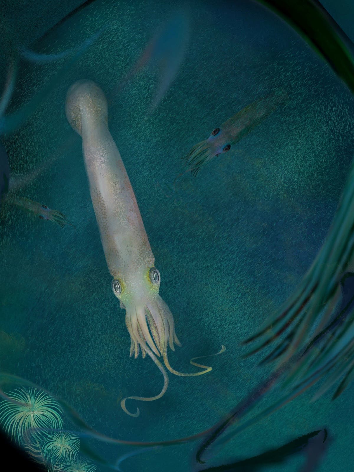 Ten-armed squid thought to be 328 million years old named after Joe Biden