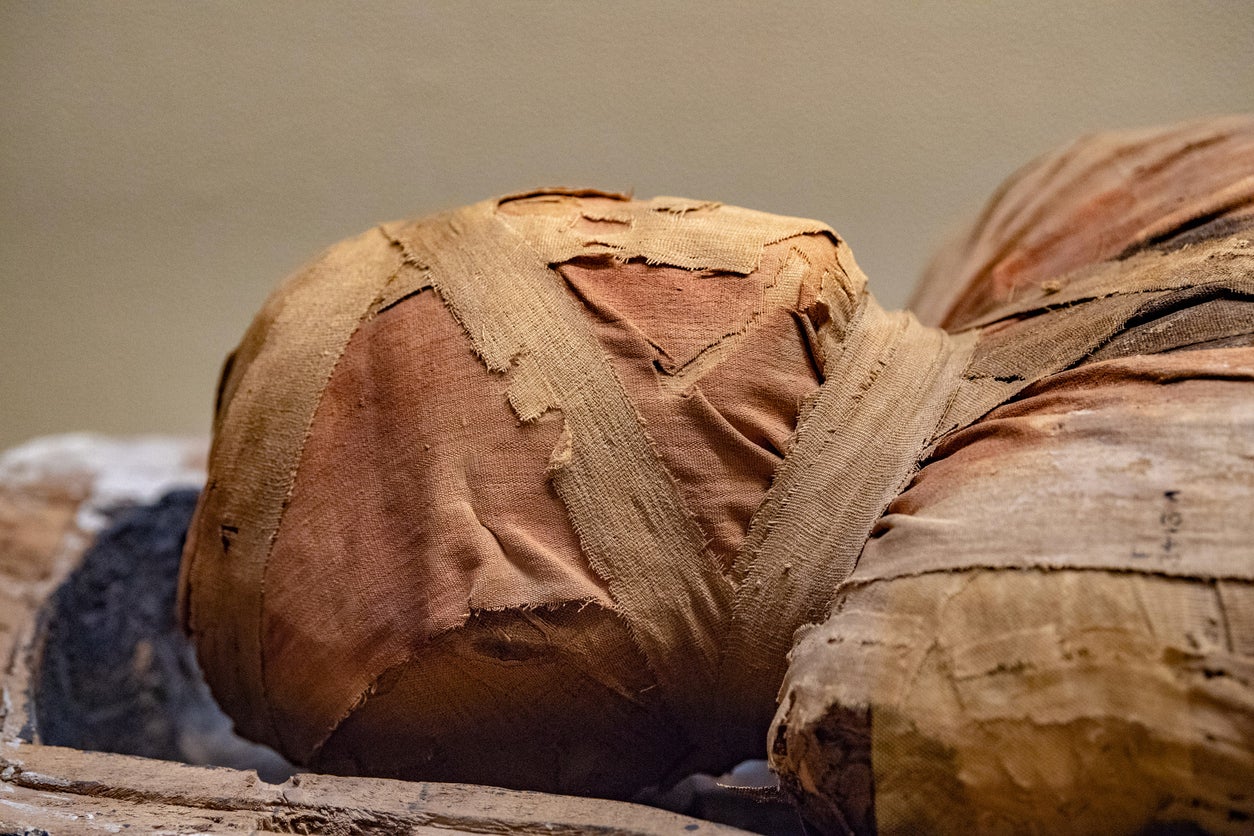 The discovery provides brand-new insights into the age of the mummies and process of mummification in the Sado Valley, Portugal at the time.