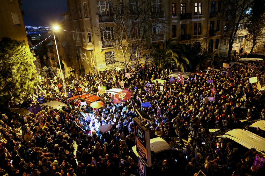 Riot police fire gas, block Women's Day march in Istanbul