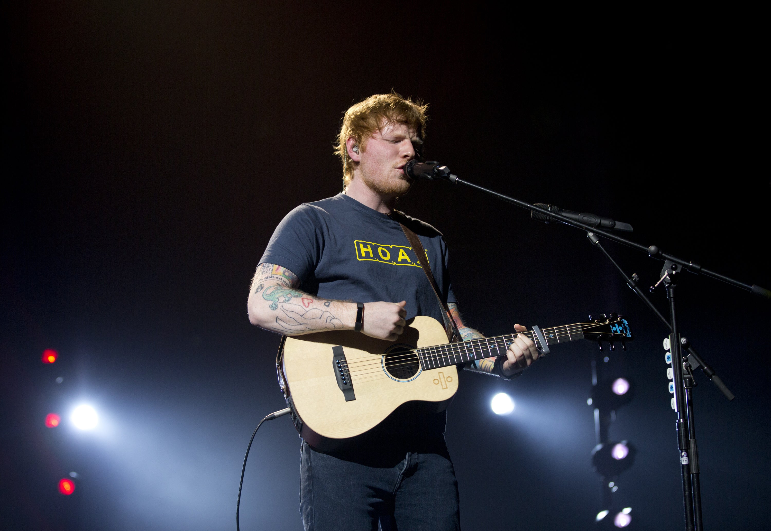 Ed Sheeran on stage during the Teenage Cancer Trust annual concert series, at the Royal Albert Hall, London, in 2017 (PA)