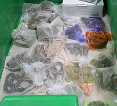Feds: Man smuggled 1,700 reptiles from Mexico, Hong Kong