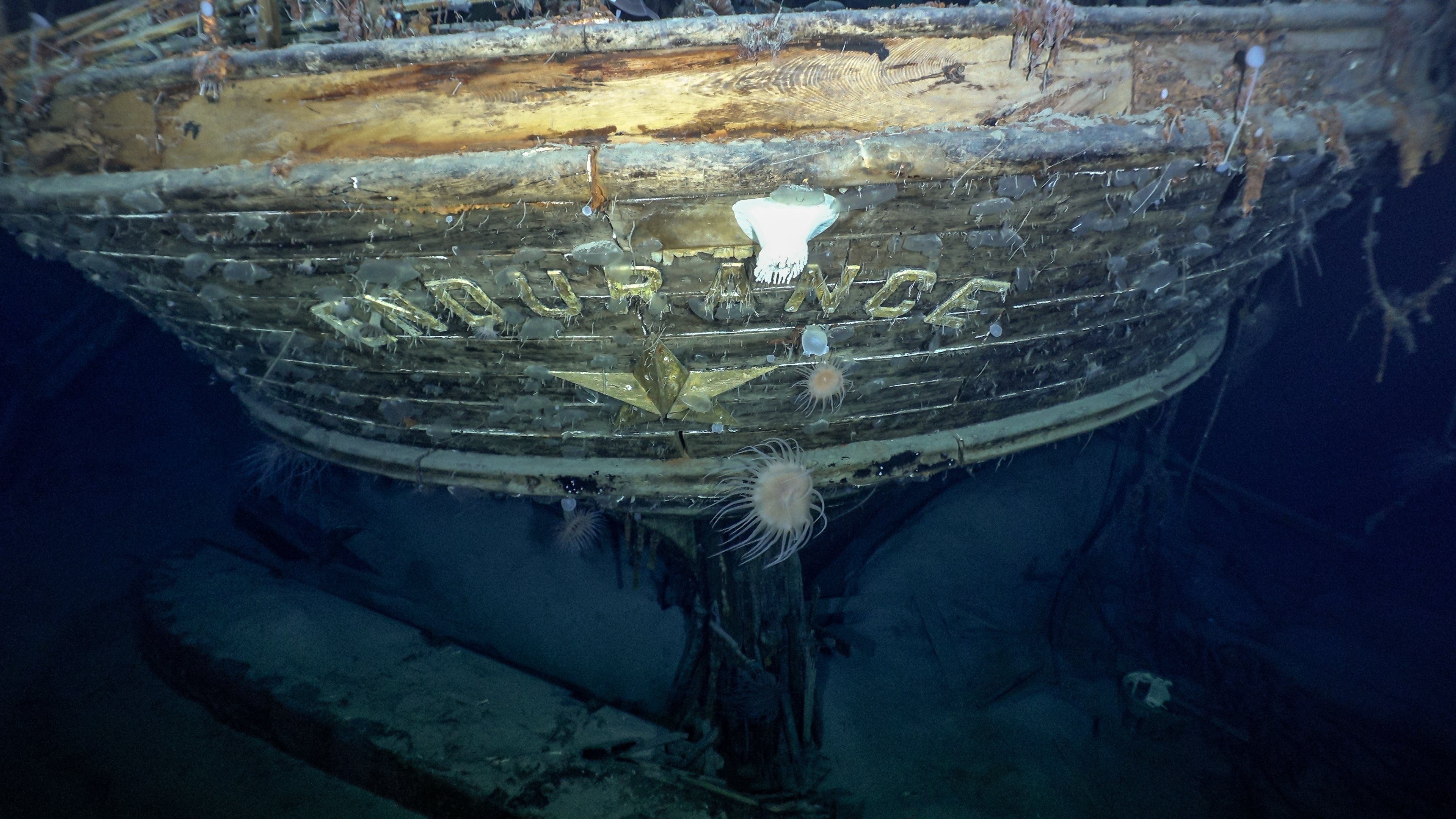 The stern of the wreck of the Endurance, its name still clearly legible
