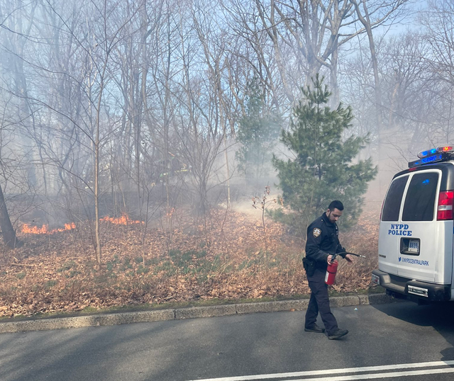 <p>Firefighters battle several blazes in Central Park on Tuesday </p>