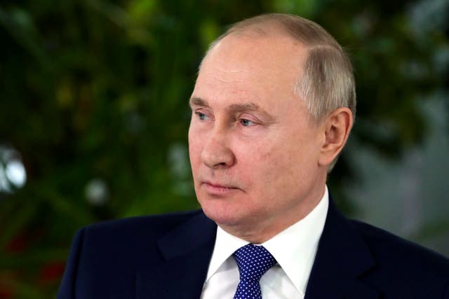 <p>Russian president Vladimir Putin</p>