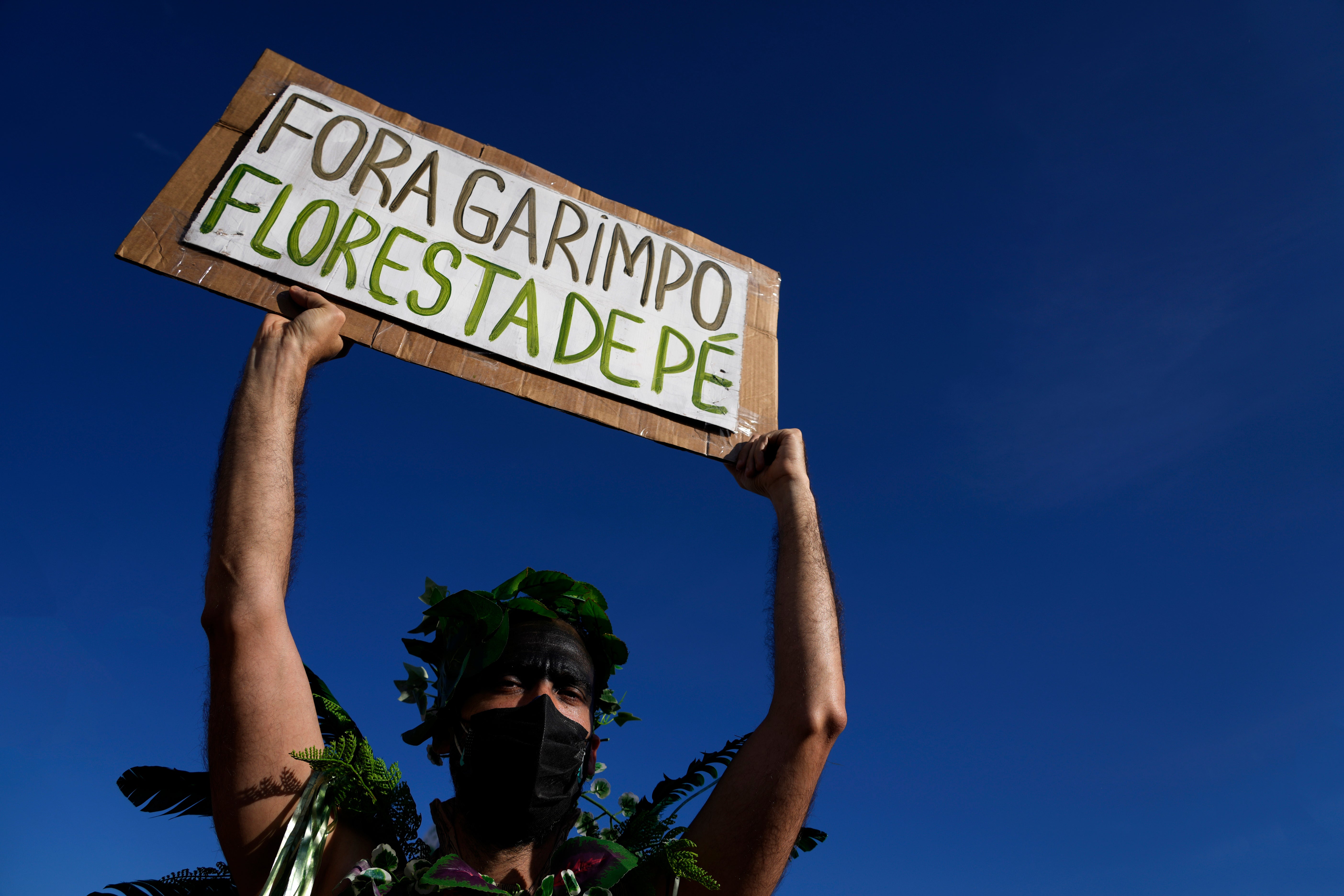 Brazil Rainforest Demonstration
