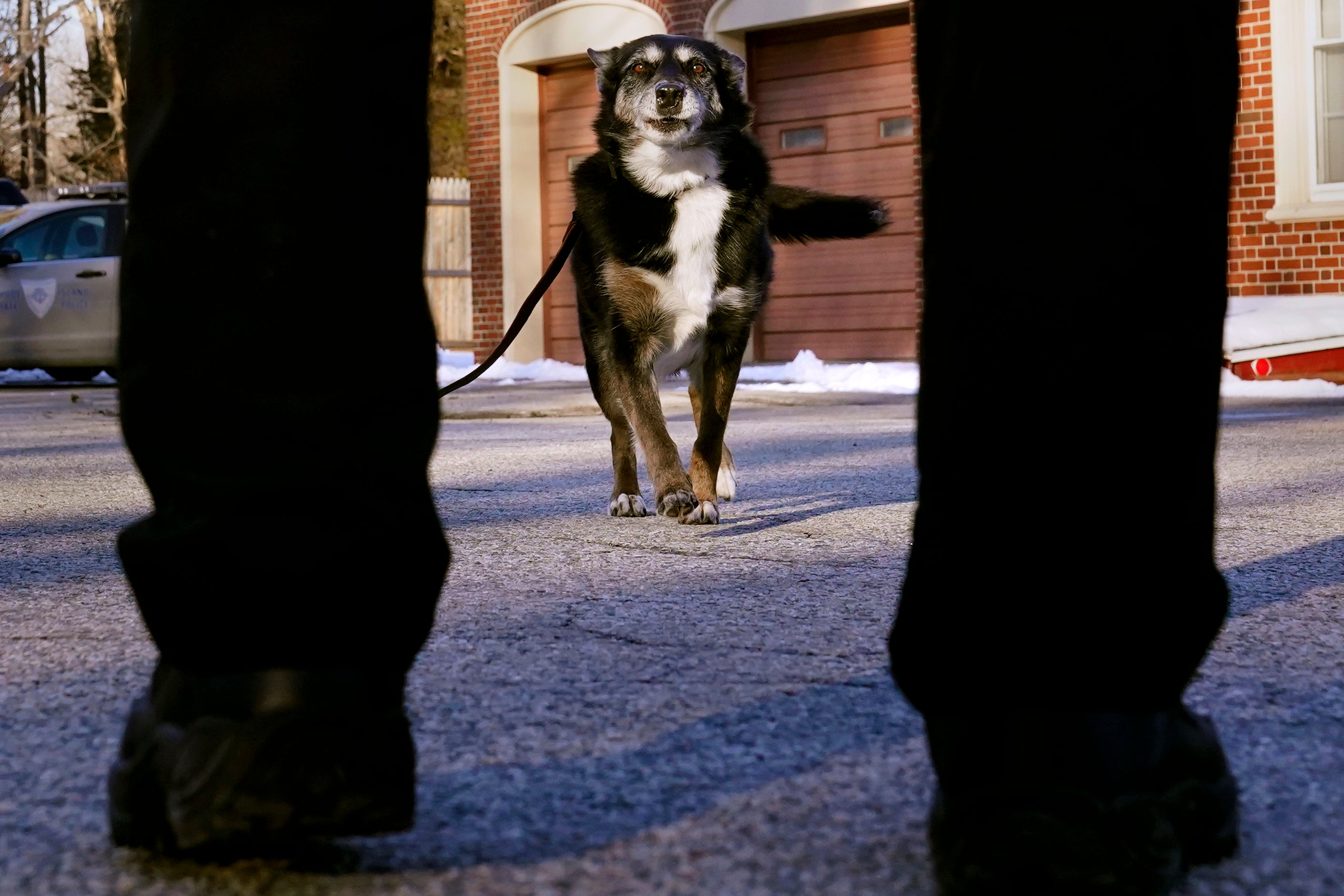 Film Rescued by Ruby