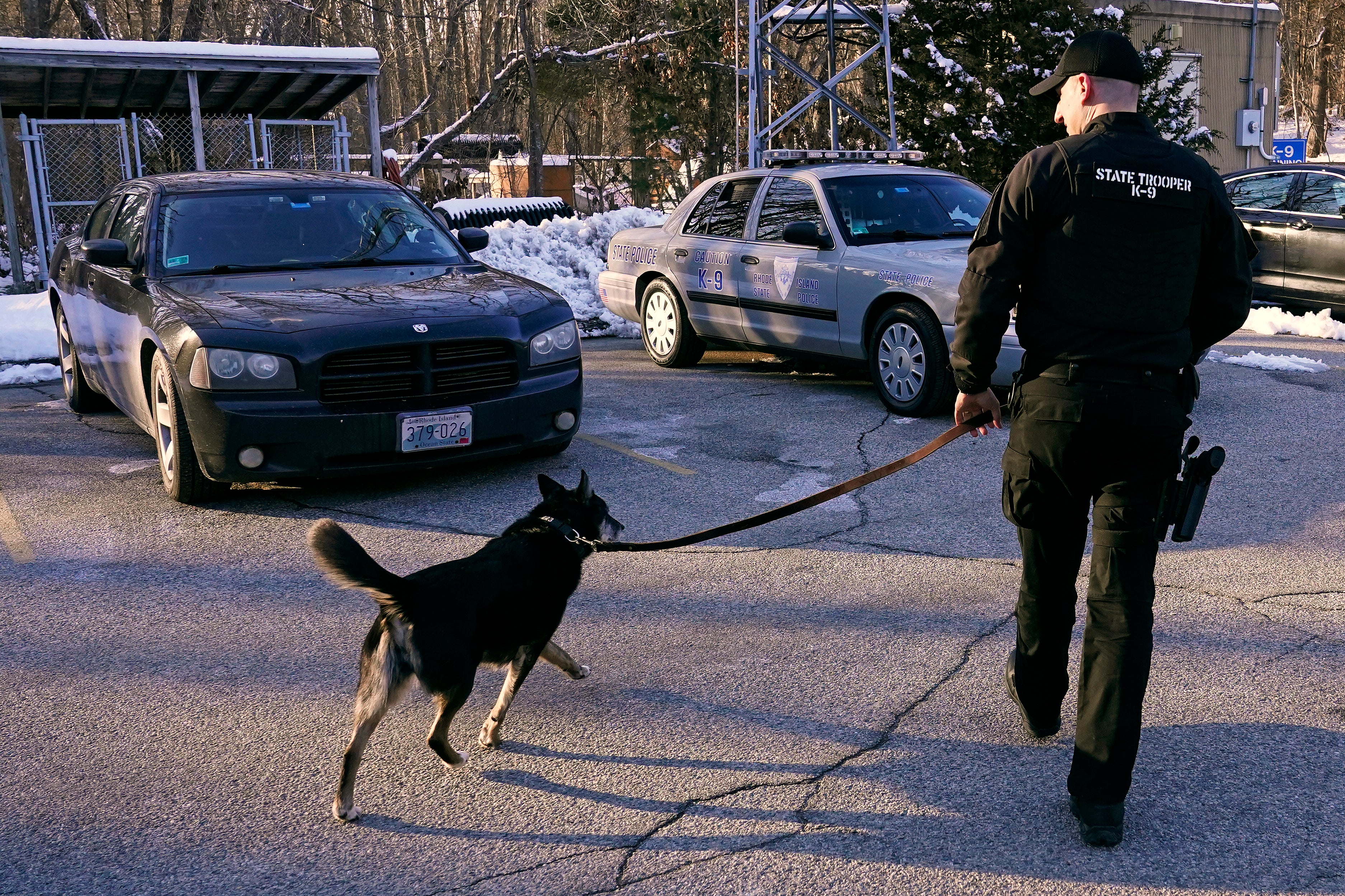 Film Rescued by Ruby