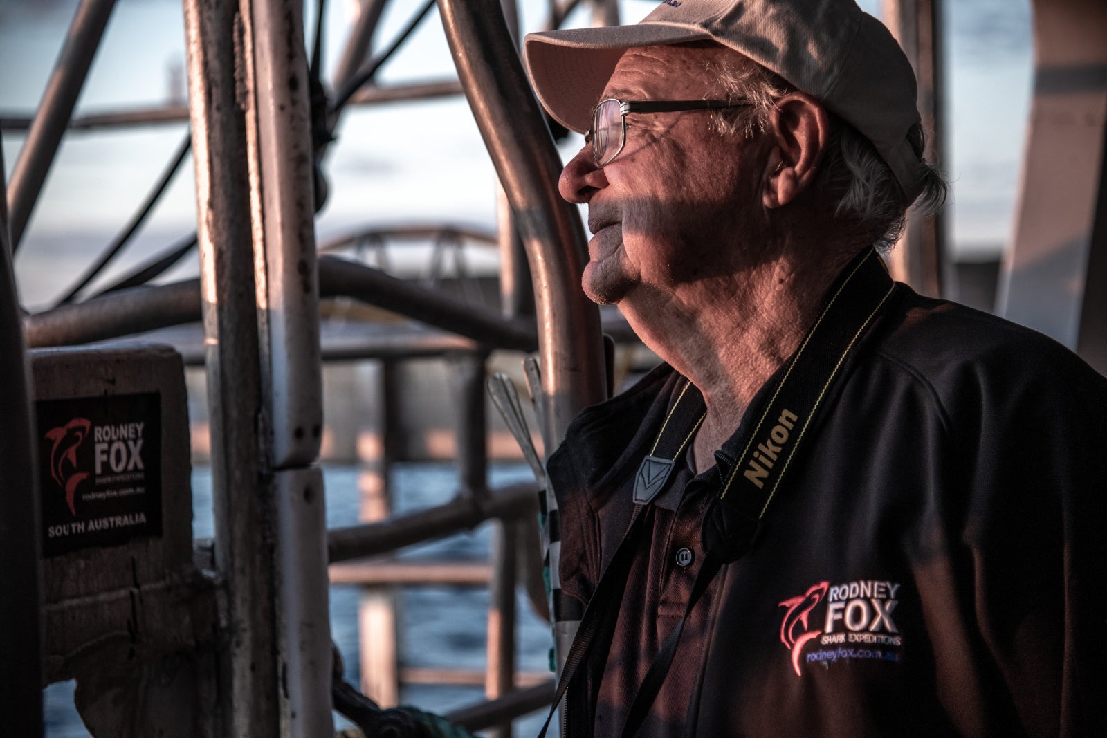 Shark expert Rodney Fox, now 81