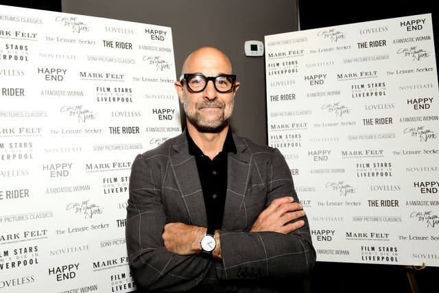 <p>Stanley Tucci in 2017</p>
