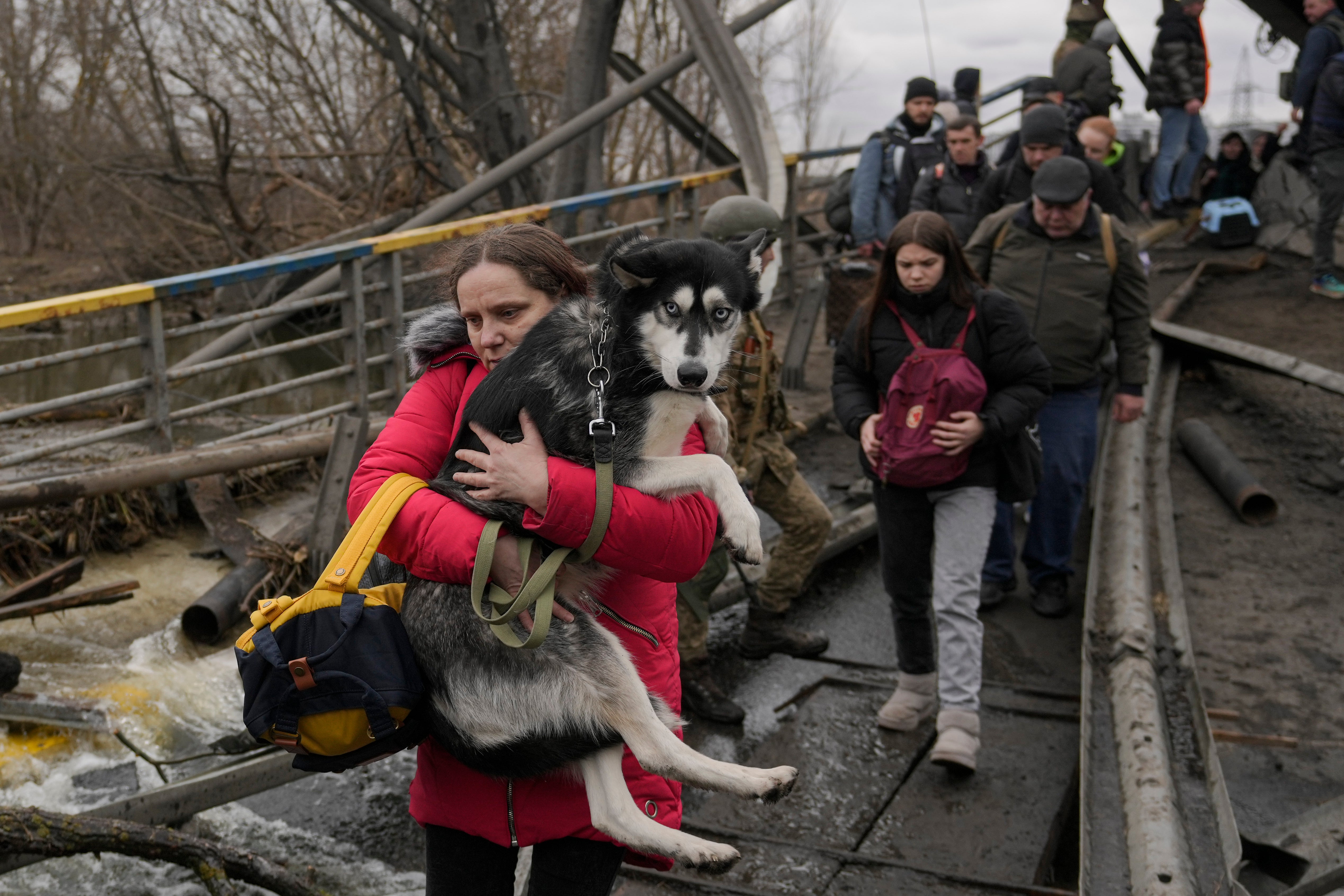 Russia Ukraine War Pets Photo Gallery