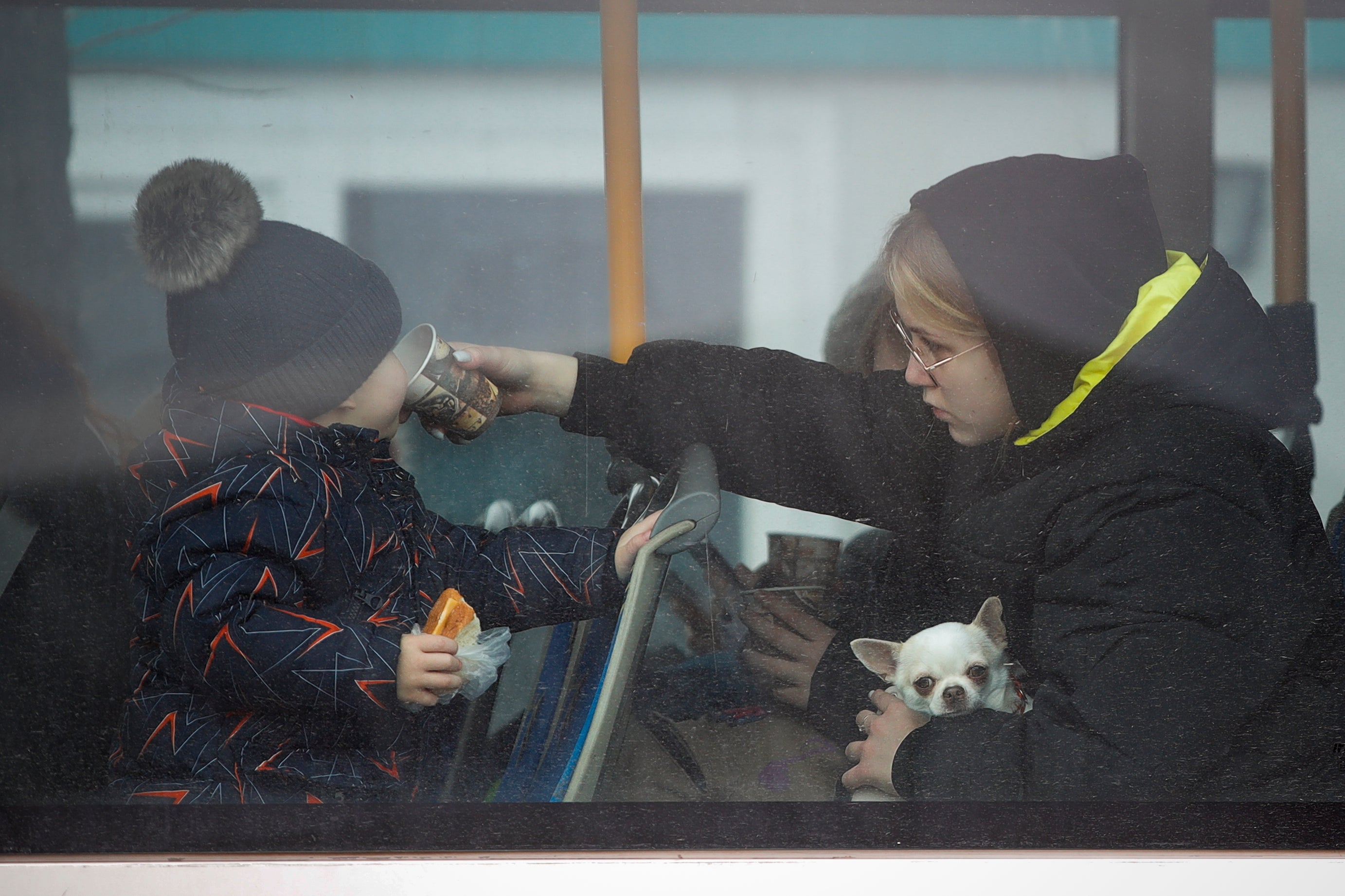 A refugee holding a small dog gives a sip of tea to a toddler after fleeing from Ukraine
