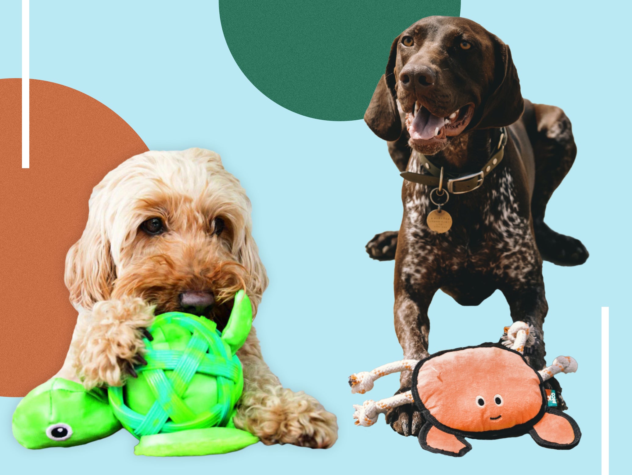 Playing Games Interacting with Kids 7 Pcs Cute Dog Toys Set Funny Dog Chew Toys Sound Reducing Dogs Loneliness Plush Dog Squeaky Toys Set Protecting Furniture