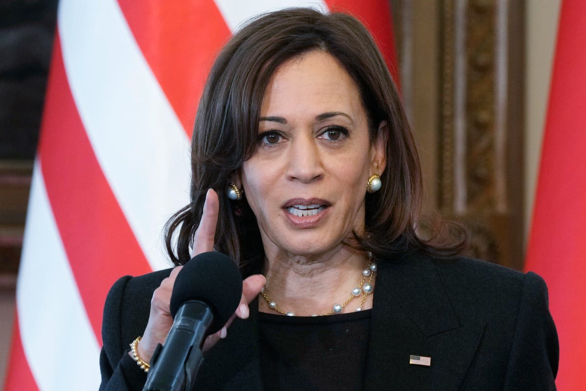 Kamala Harris&rsquo;s national security adviser latest staff member to quit