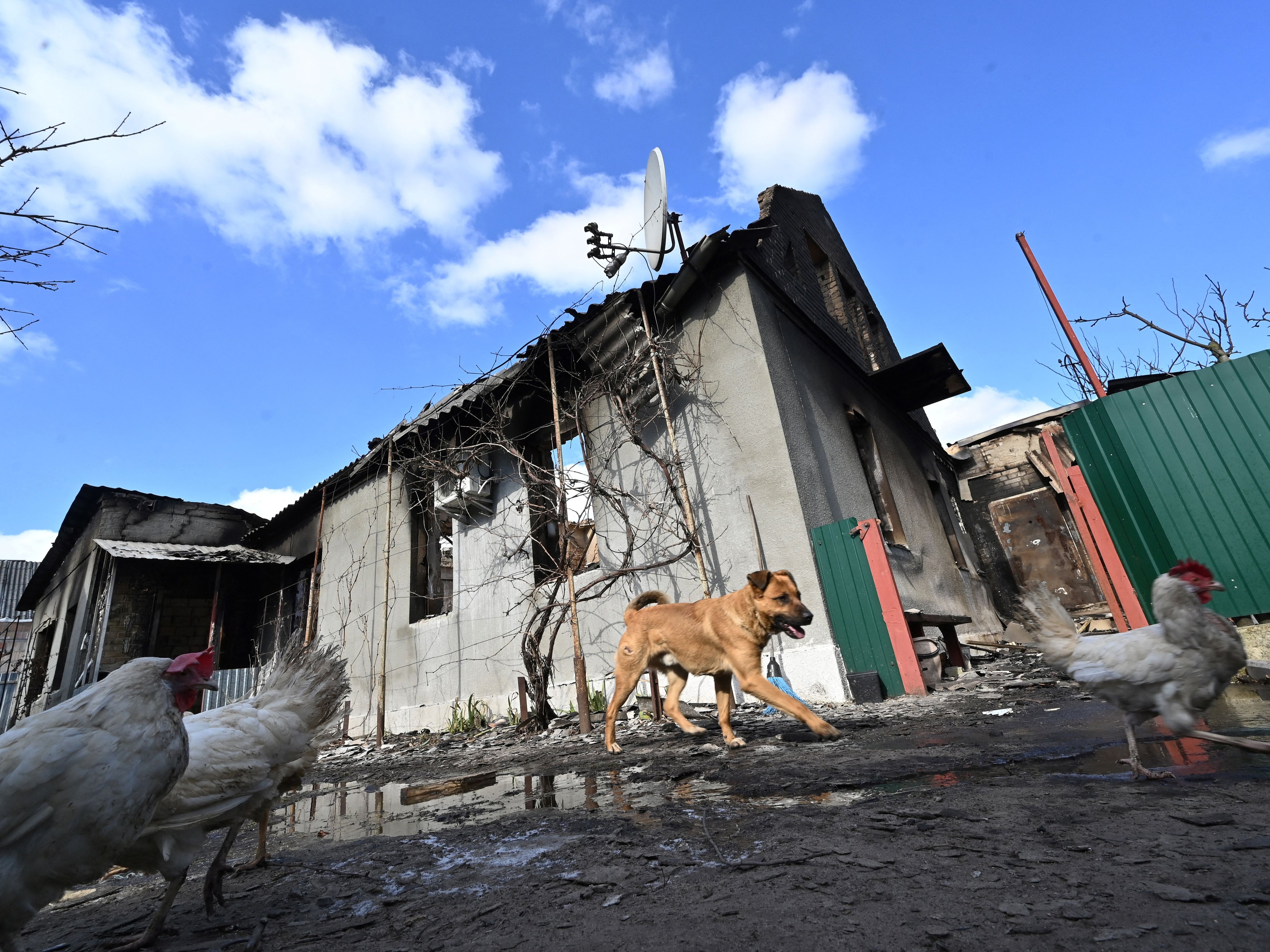 Homes have been damaged by Russian shelling in the invasion of Ukraine