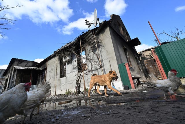 Las casas han sido dañadas por los bombardeos rusos en la invasión de Ucrania