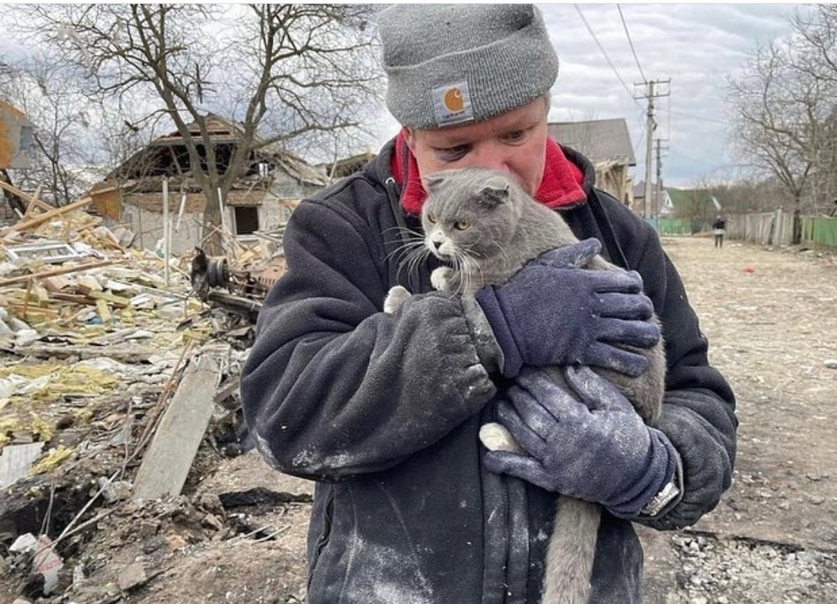 Ukraine claims entire family killed by Russian airstrike, only man and his cat survive