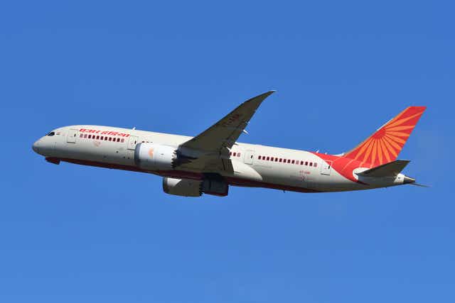 <p>Air India is one of the main airlines serving UK-India routes</p>