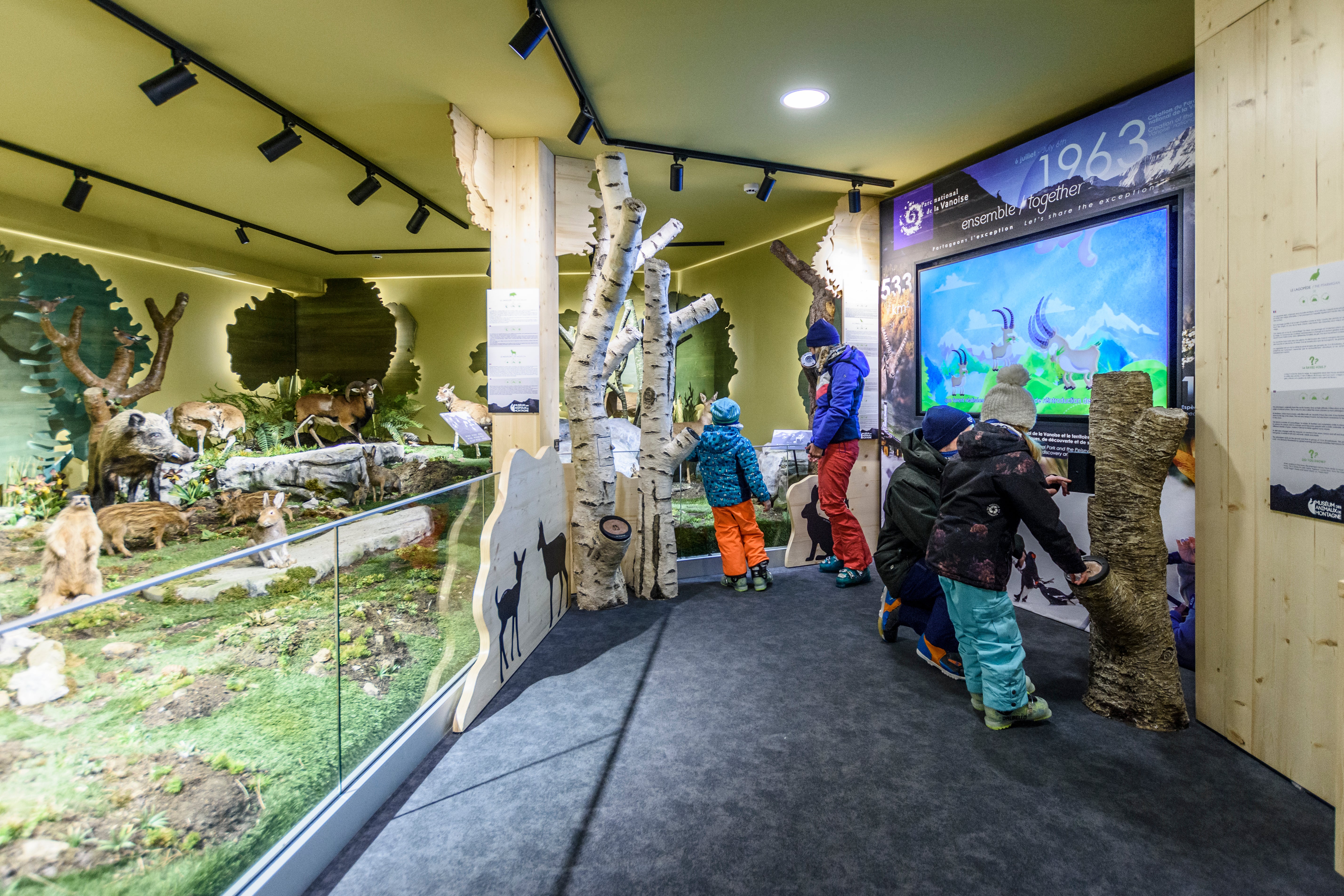 Les Arcs’ new Museum of Mountain Animals offers displays of Alpine critters