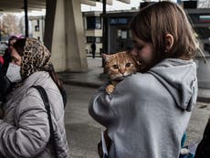 Government set to let Ukrainians bring pets to UK as thousands of dogs and cats face being put down