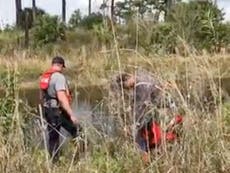 Human arm found in alligator’s mouth at ‘Hungryland’ Florida preserve sparks homicide investigation 