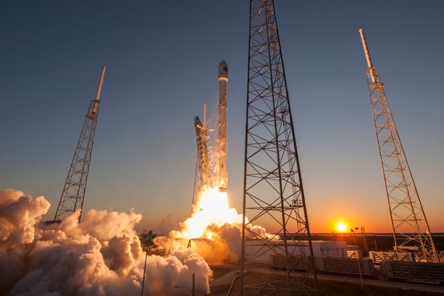 <p>A SpaceX Falcon 9 rocket lifts off</p>
