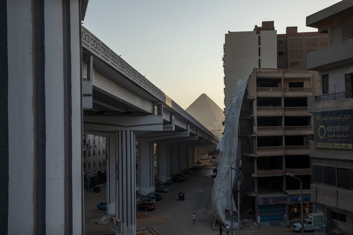 As Cairo transforms, Egyptians fight to save their trees | The Independent