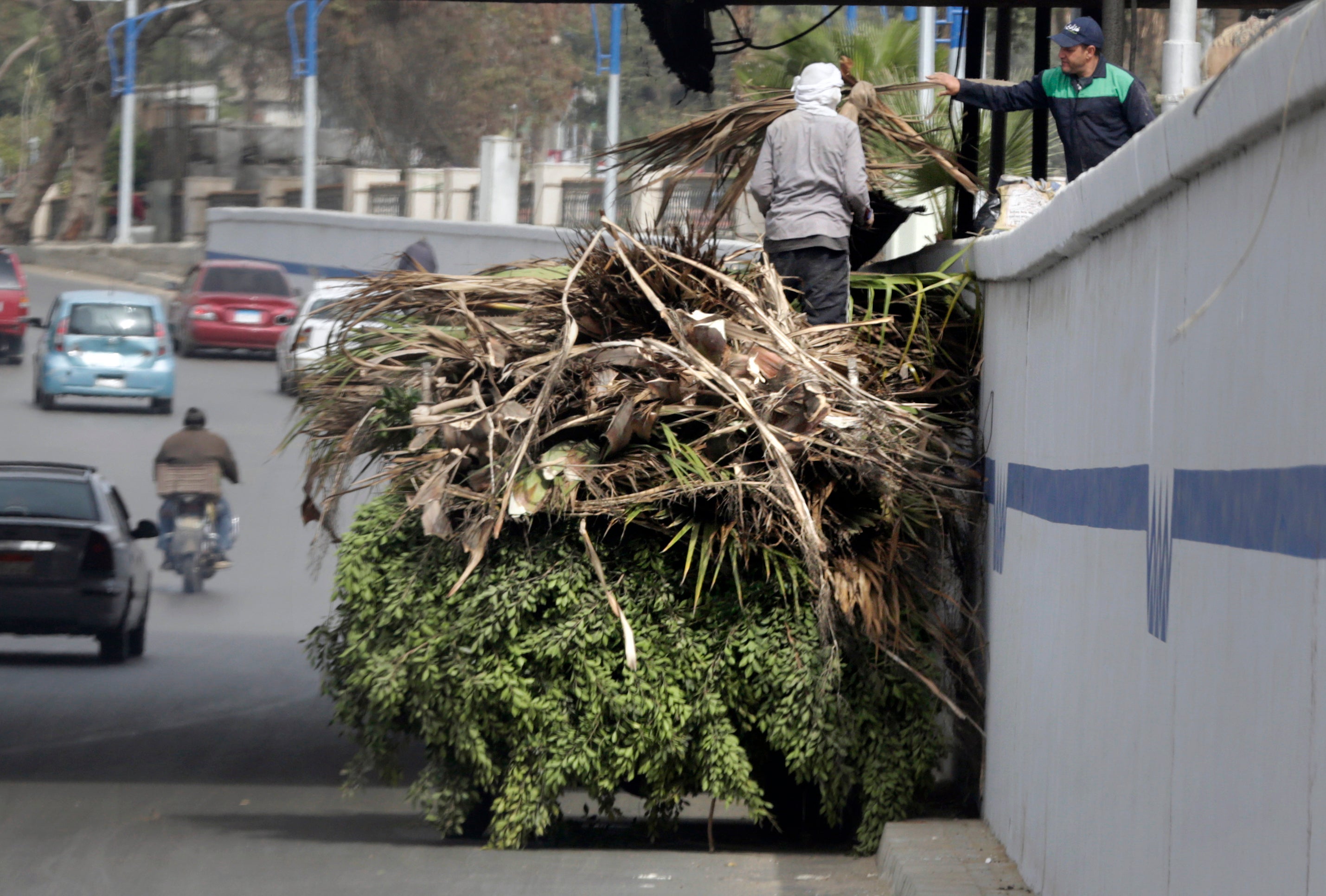 Egypt Vanishing Green Spaces