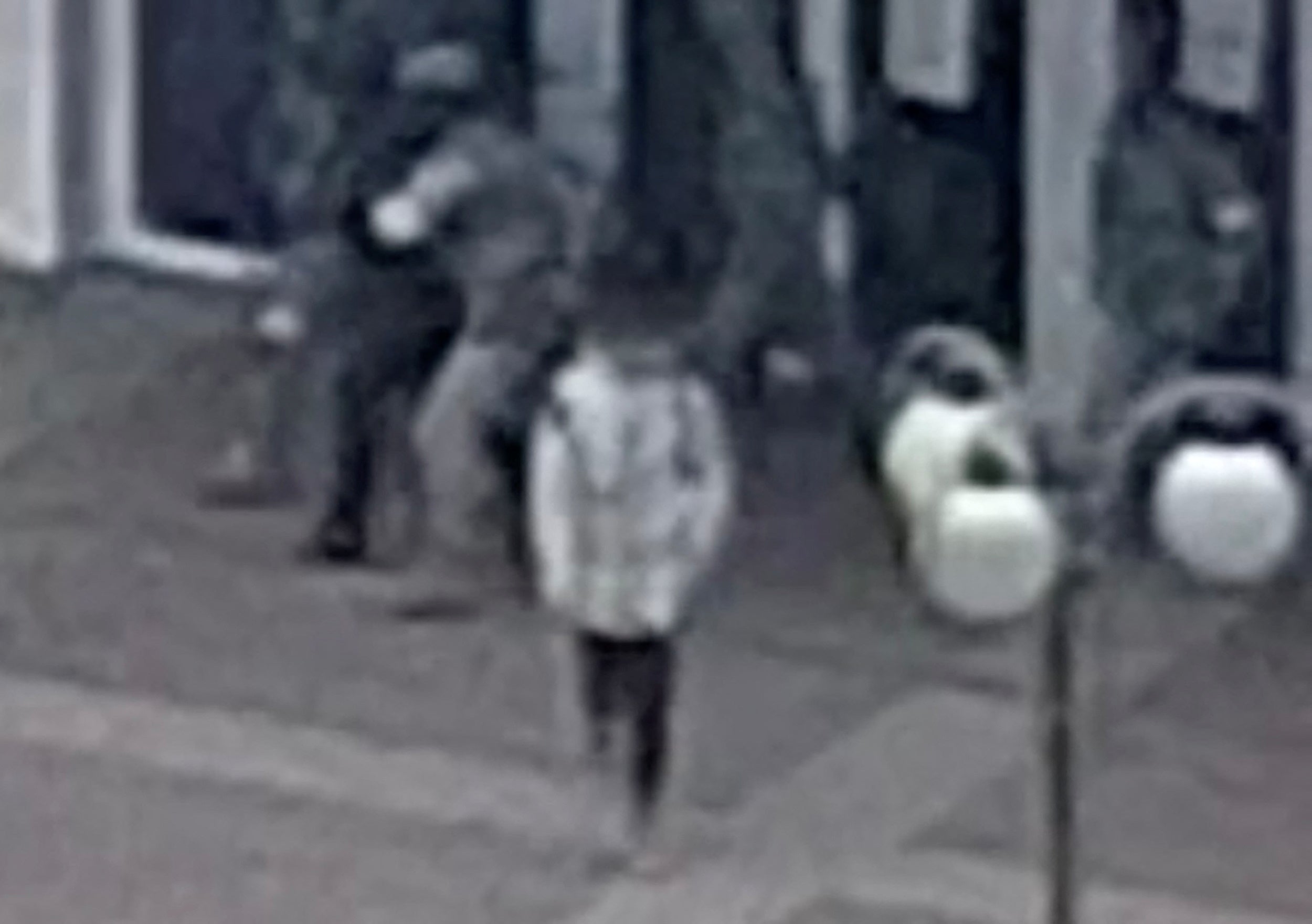 CCTV image appears to show Ivan Fedorov being kidnapped